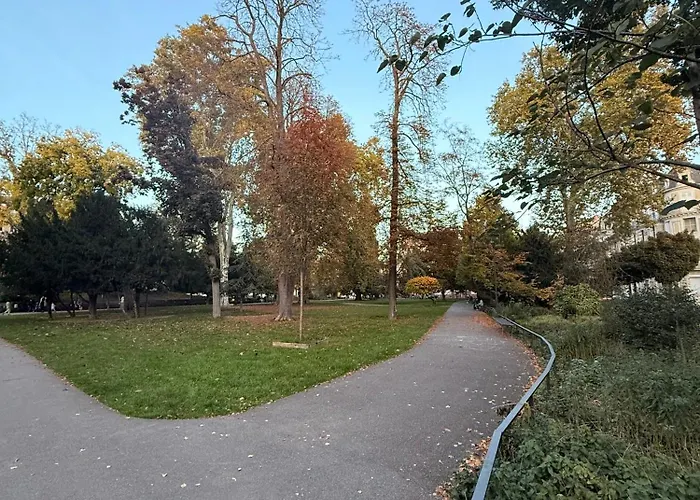 Dans Le Coeur De